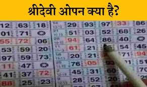 SRIDEVI Number Analysis Report (June–July 2025)